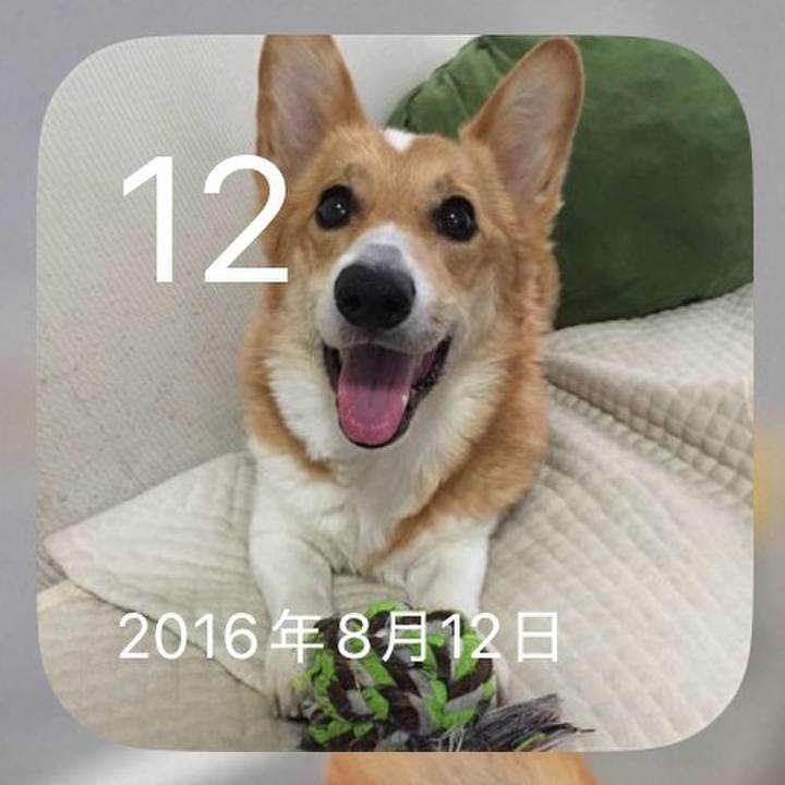 8f71ca9c 89a0 4d9c af55 c3feab77ff65 1786502967825