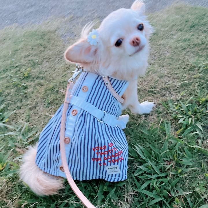 8f71e8ce 13e2 47fe 994a e5e44be156c6 1661945150422