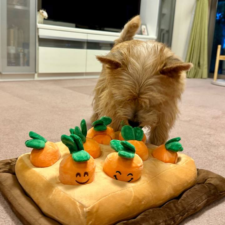 8f71fd75 0e49 4774 bc02 22dfc8015b47 1757708769330