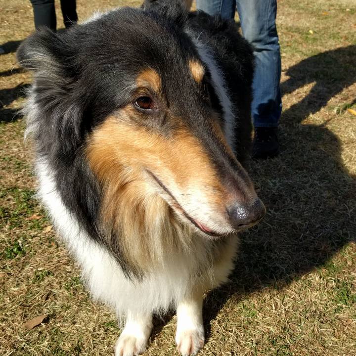 8f725b8a 8a57 4bda 854b 64e8da3ef728 1511070588817