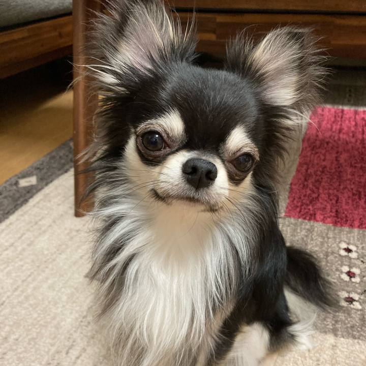 8f7276fd d0c6 4656 9101 1d4f5c334fba 1617454209452