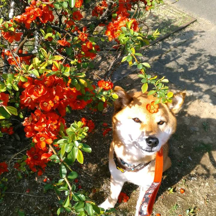 8f729214 de16 49b3 878c 212893884f8a 1553214683778