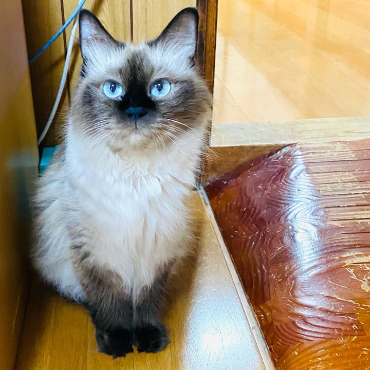 8f729473 210a 4331 8b78 3104f603b433 1695257661687