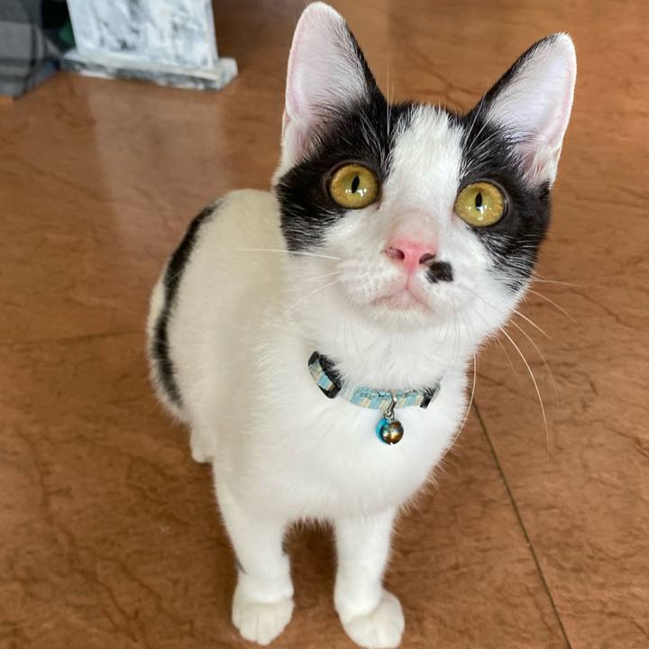 8f729d39 c796 4edd 9b6f d24c5673b351 1660885324892