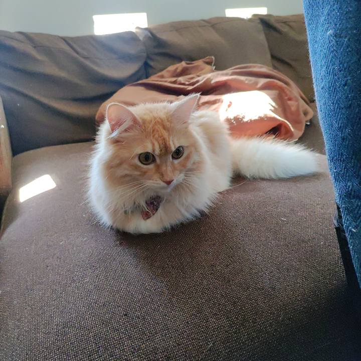 8f72b337 6c2f 497f 8359 d62b4cc5b0c2 1659052354781