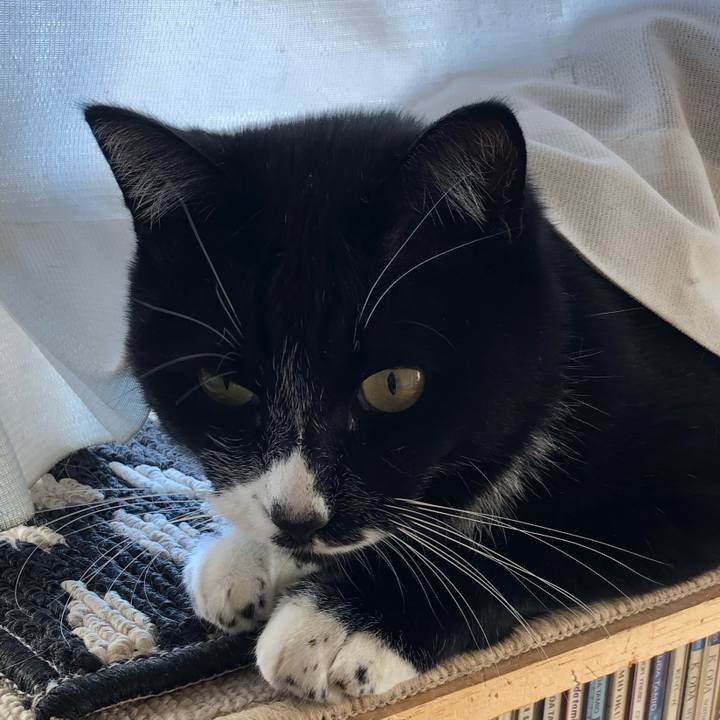 8f730841 6c2f 4dd5 ae74 2383ff0f3bb3 1609905140050