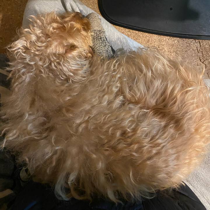 8f73a406 0ac4 4bed 8068 878afd21db3e 1674726878972