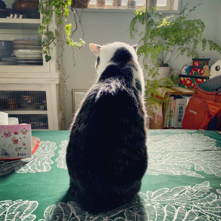 8f73aff1 3277 46ad a7ff 143040cffb23 1608175045304