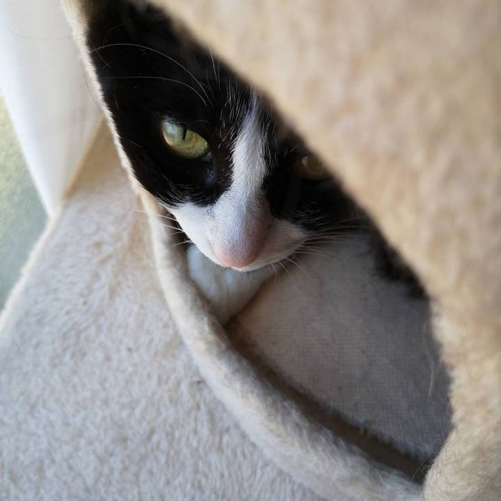 8f73c943 666b 4858 a861 66921924827c 1656991726490