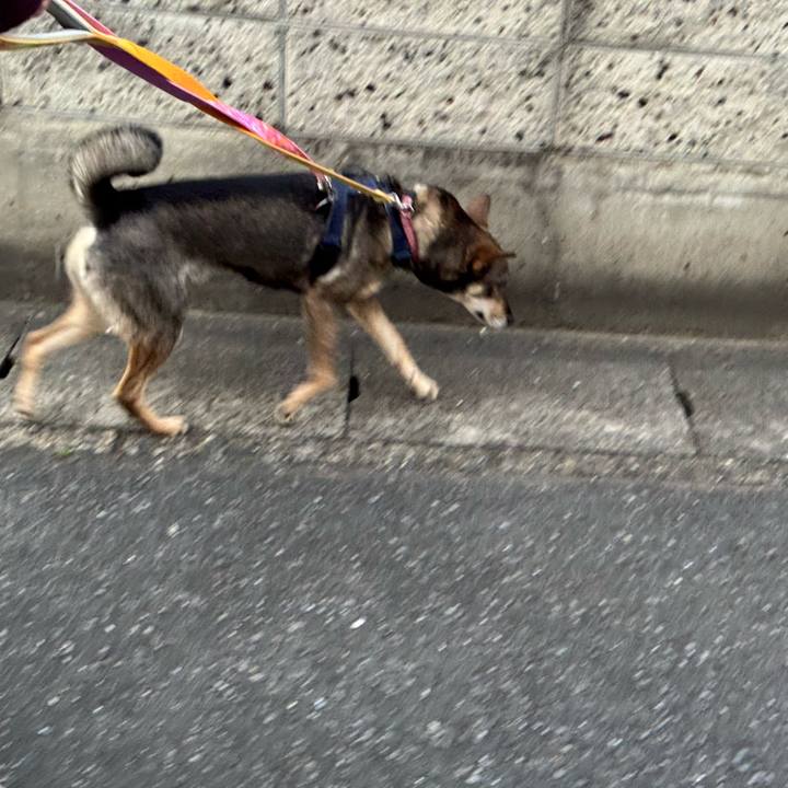 8f741057 509b 42c8 8f51 910525664046 1765166270917