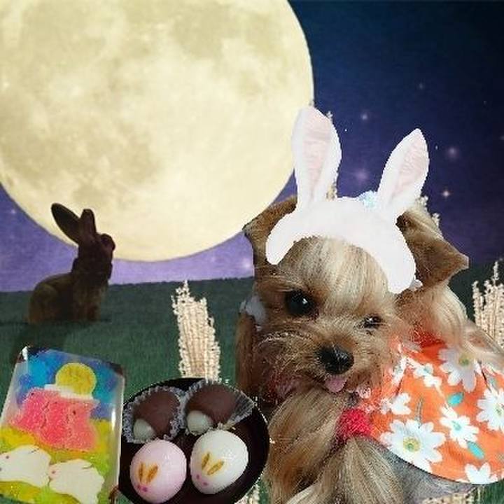 8f741dea 705a 4144 8760 378707f5ffe5 1632213832033