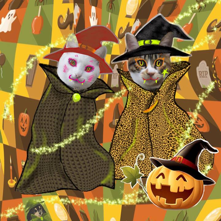 8f74804f a5e2 48d2 9342 495bc0540946 1667093973298