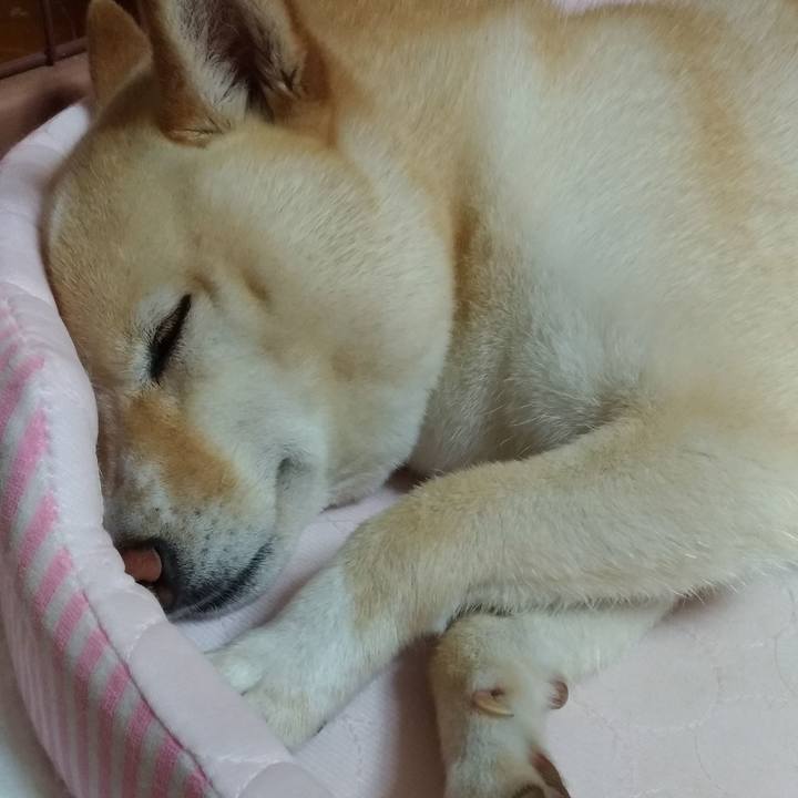 8f749fee 51d2 408f b6dc 4f4101269e2f 1591969735177