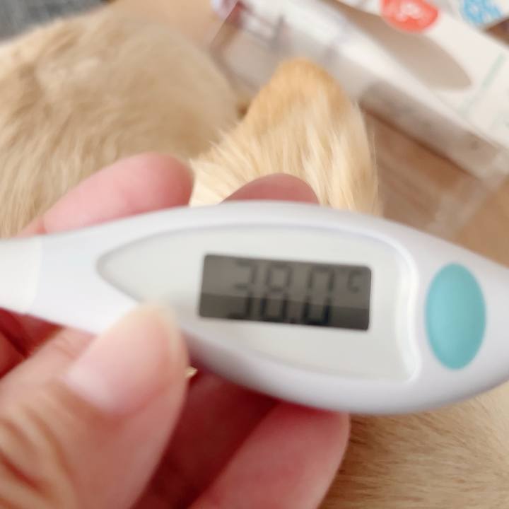 8f74b527 66d1 41aa 876e 03e079167fae 1685100976167