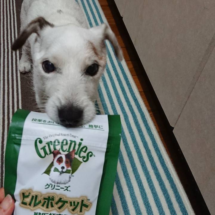 8f75342a 9fd8 4217 8fd0 4af08285d393 1605015908239