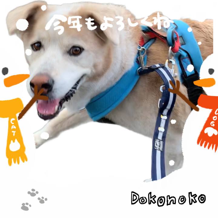 8f755a33 1cda 4e35 b746 23a6d7c0f75d 1704075940616