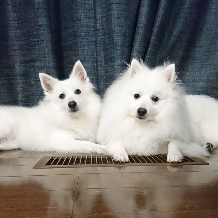 8f75778e 4a60 487b a689 d0eb25b60b57 1570144526417