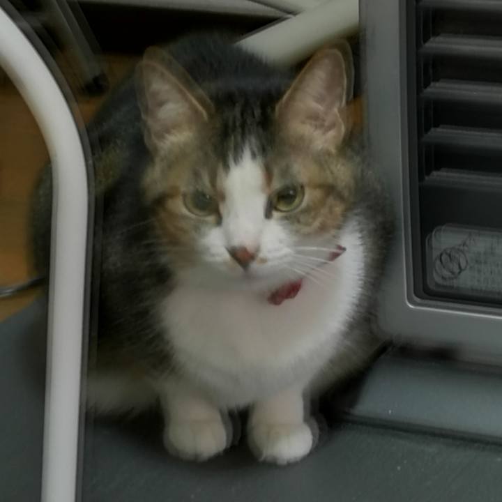 8f758d23 9487 4826 a62f 9dbfce62ea0b 1517393567039