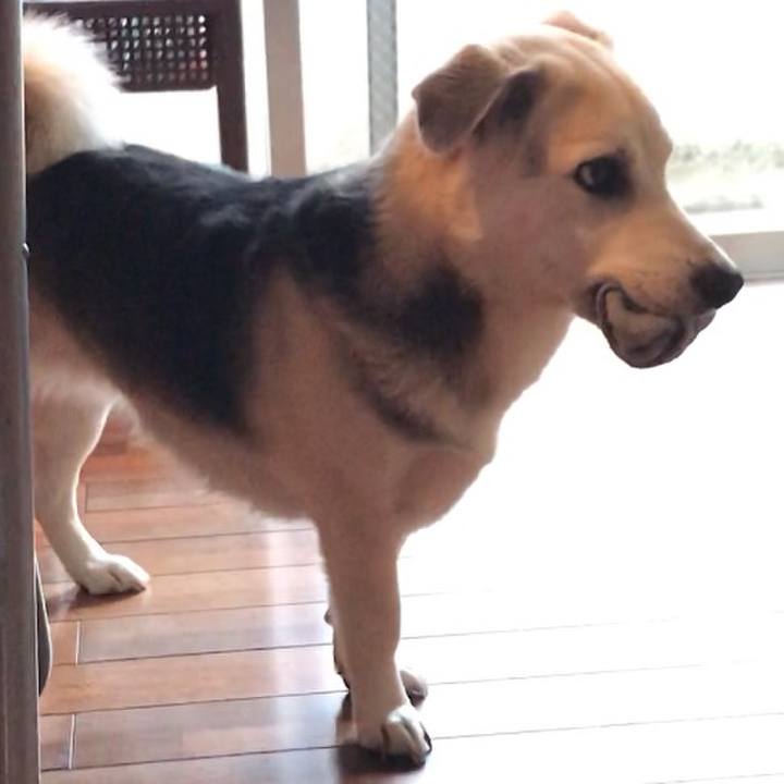 8f75b0e6 7332 40c9 b0b5 93d54d573bfb 1548156876066