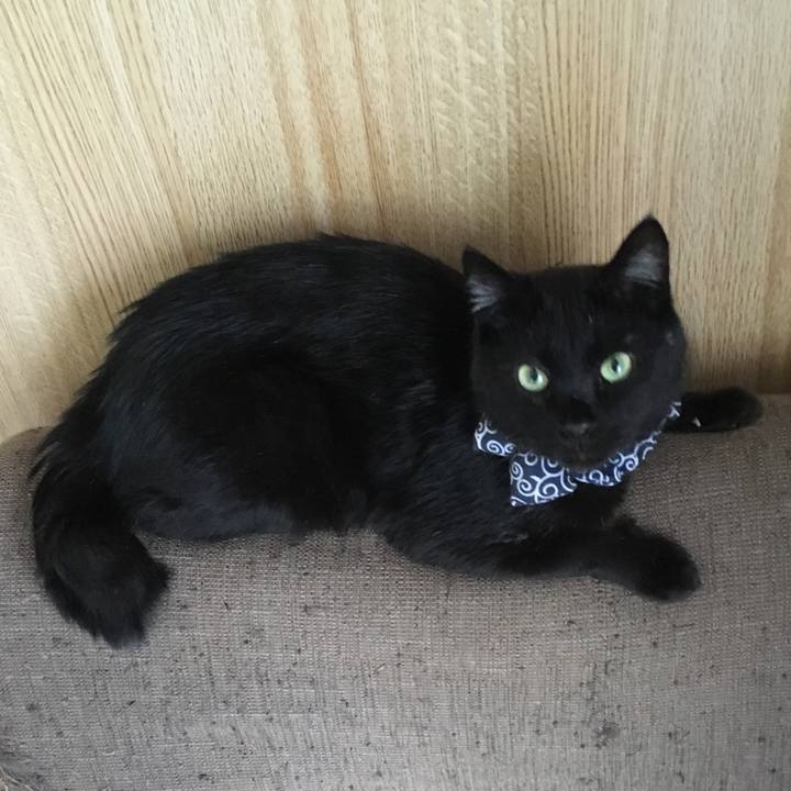 8f75b3d9 0136 4964 8e7b 247c814436b3 1537601100503