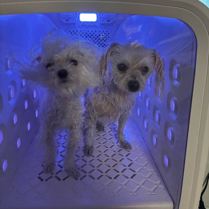 8f75b735 7397 4d7e adb5 311bc1aee940 1763117552078