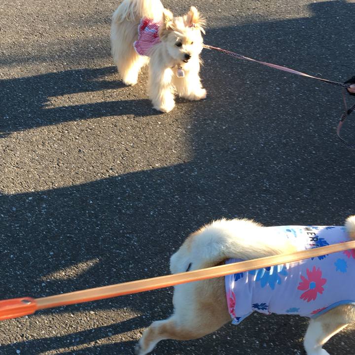 8f75b84e b759 4284 bc00 97c63fe7be77 1560416504885