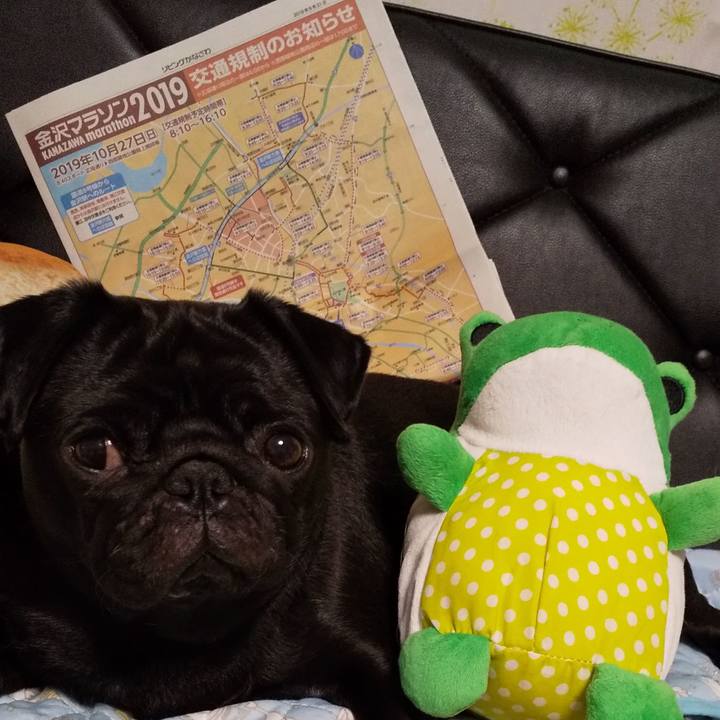 8f75ba45 97fc 455d 9737 8e181d889d33 1571922544407