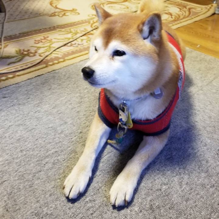 8f75fbf6 6835 4c74 add2 12783a5c08f2 1583135472101