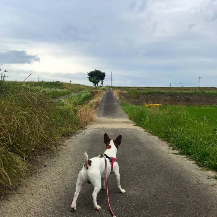 8f76143d 586f 415a ad62 4d4abde88306 1528207209244