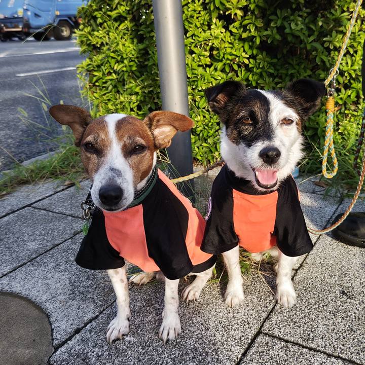 8f7624b1 2aa9 4abf 9ab0 4943a33b548d 1725918738040