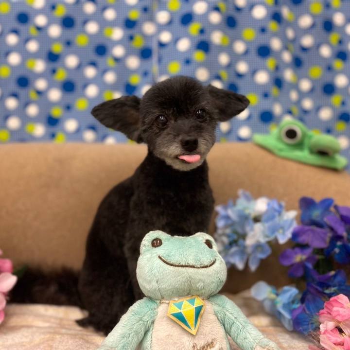 8f764185 f00b 4784 9c7c ec969e6ede1c 1653218987647