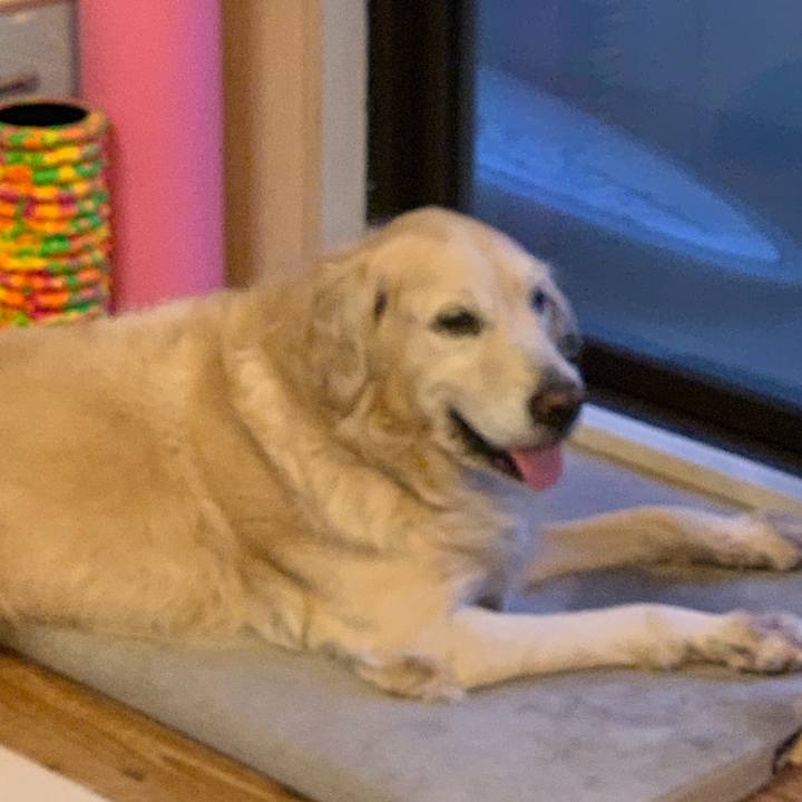 8f7658c2 3272 48e0 be9b 88d307141f80 1550704350618