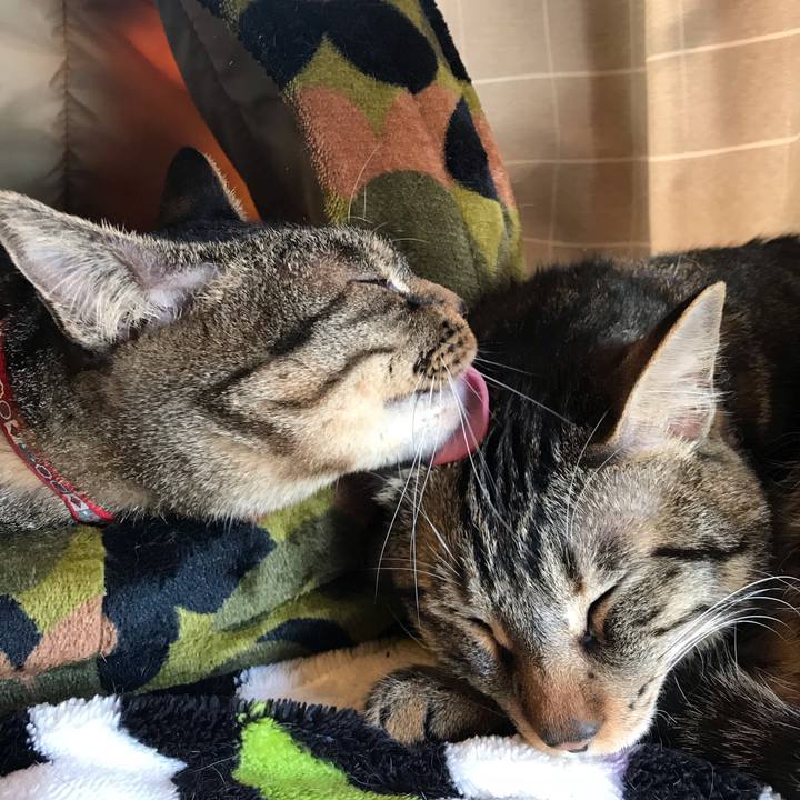 8f7658e7 05b1 40e0 8e83 bdb65c3bd180 1645484129236