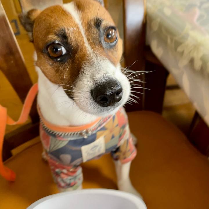 8f7682ce 91f4 42c0 9591 11c2bafed7eb 1628740514772