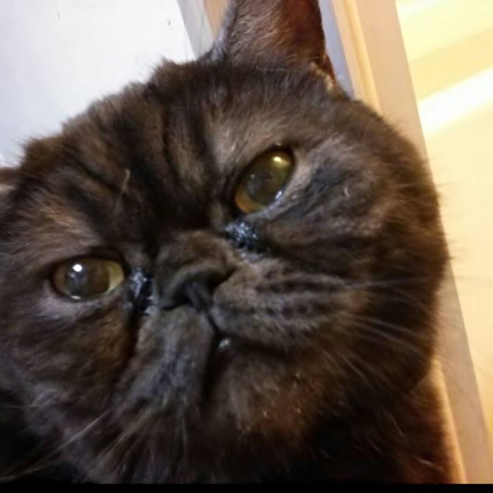 8f76a649 ced2 4129 9ec6 5acd0d62f636 1711117972353