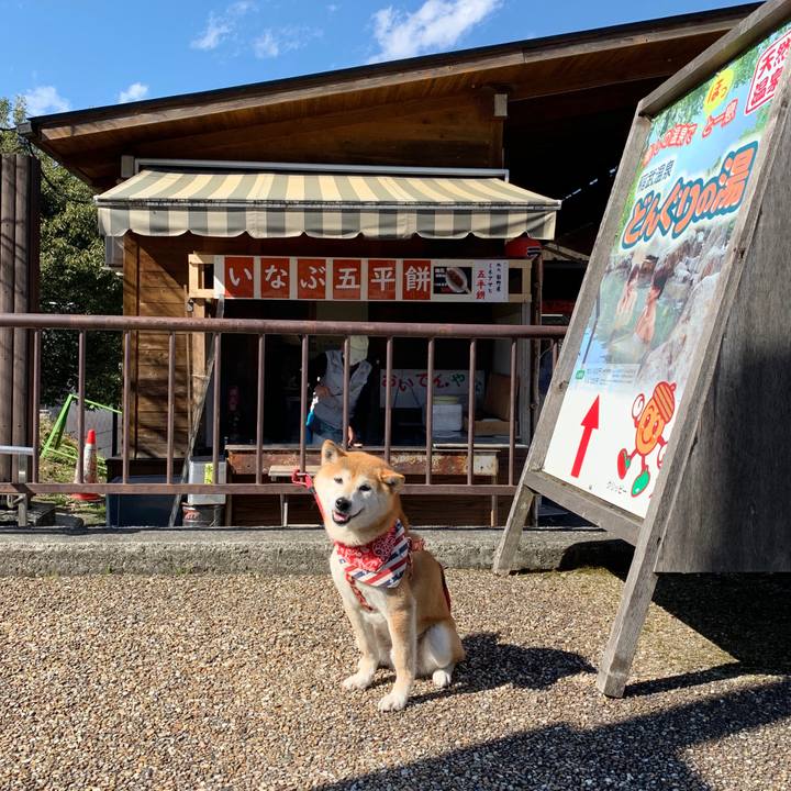 8f76b521 6bb5 4188 8e52 a7ded61dac01 1584953750958