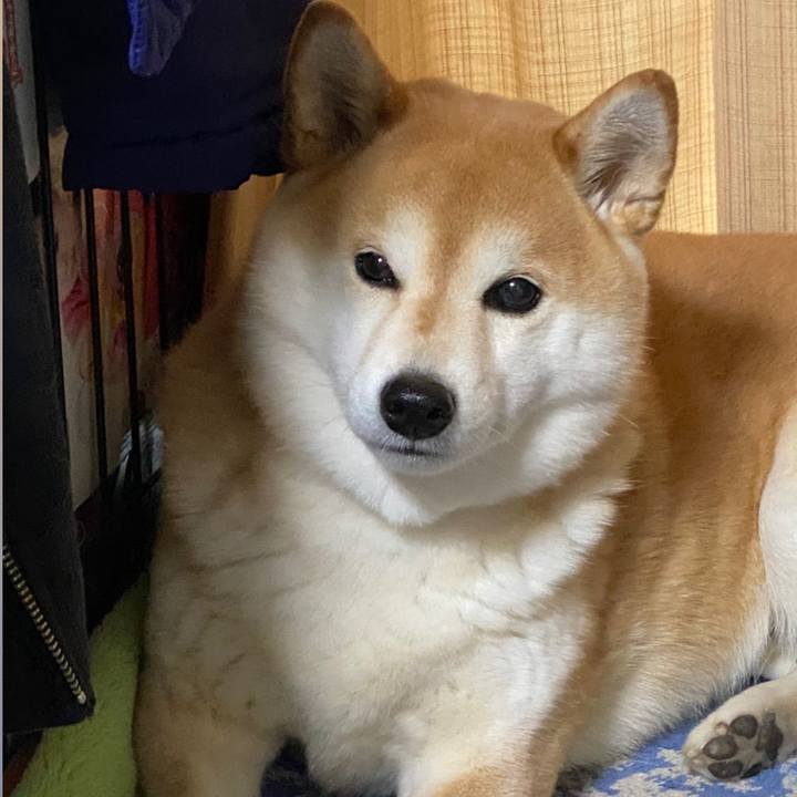 8f76ca1a 5bd5 4b26 bd86 bd46d76ffbea 1612484500550