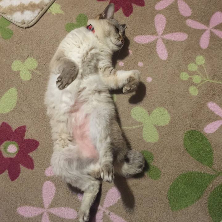 8f76fa17 5a97 465a a616 36342478f612 1525956053018