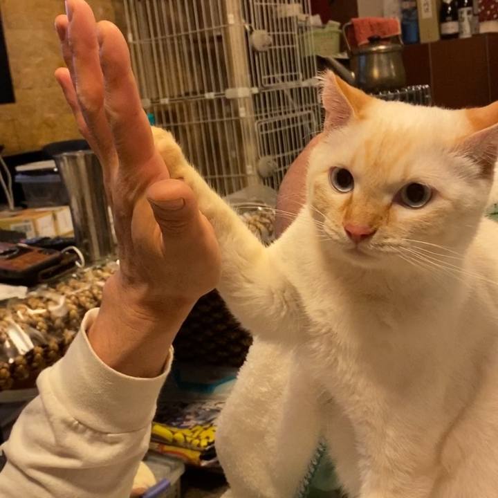 8f7700b9 85e5 46d7 b6a1 ca6e4ff93a19 1585380095738