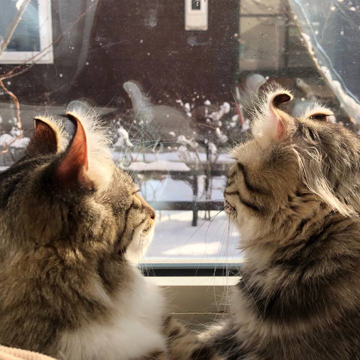 8f7702d3 e231 4a74 8137 6428732ebe9b 1541901013903