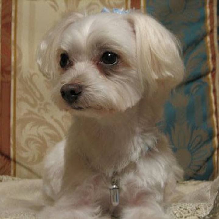 8f7723ab 5023 4bcb a2dc 4fa63e381837 1536228557937