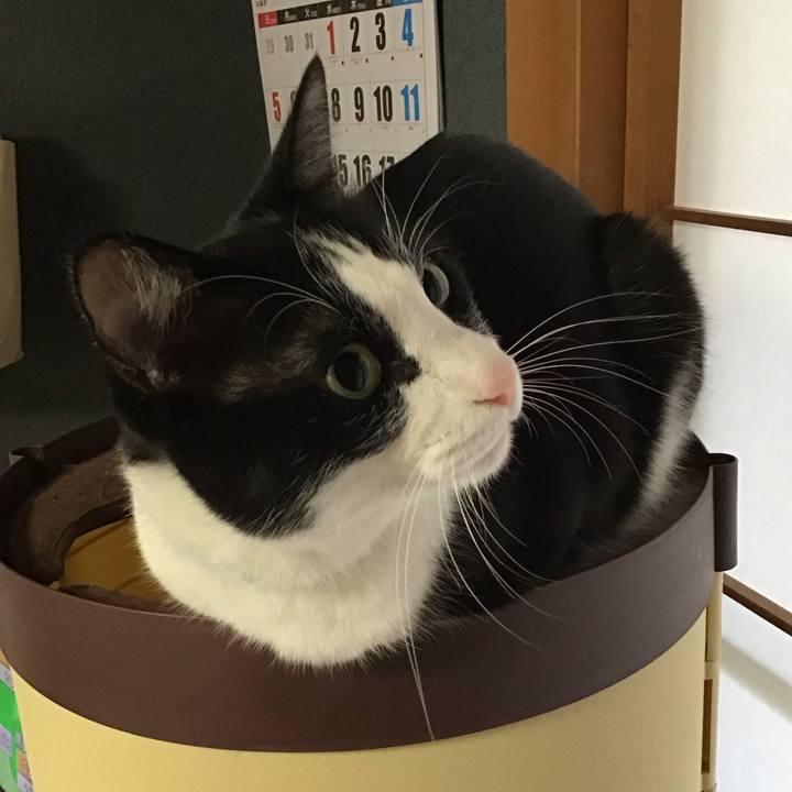 8f774589 d3dc 4371 bf7c de0856992b32 1737371527590