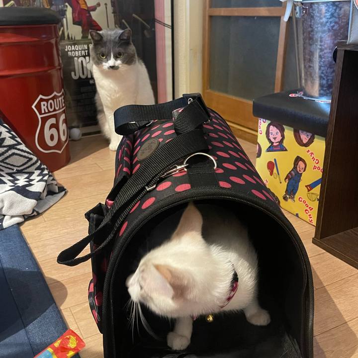 8f77bc1e 9476 4c25 8bce 7886aa40c4a8 1691662335647