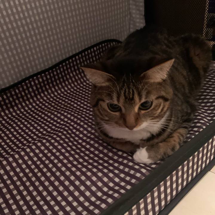 8f77bdaa 14f0 42ba be56 5386040435e9 1639397461761