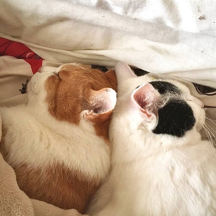 8f77da90 0430 46b0 ae56 a10358e502e2 1578472696344