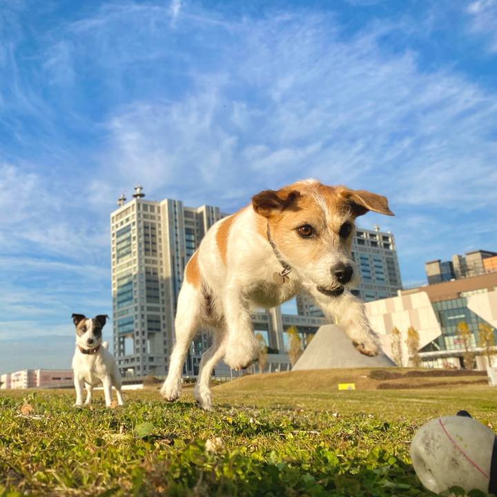 8f7827ef df55 4a02 9b90 0192188060be 1672153645266