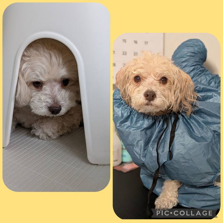 8f7832e6 9e77 4022 9e1e 344ddfb98aae 1768025252934