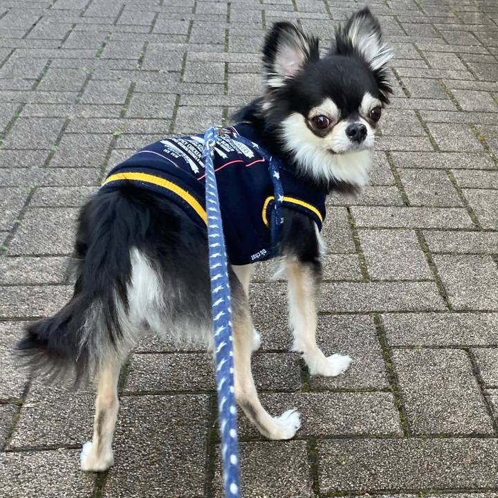 8f784d25 ddde 4dac 944b c96c159bae3b 1647665281490