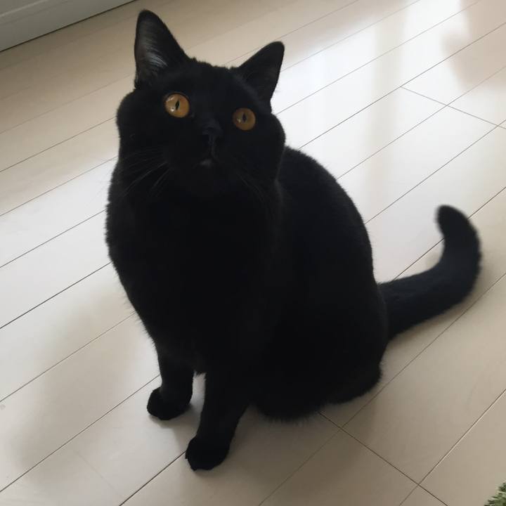 8f7870df 98cb 45b3 be59 a4c4a258c145 1509608107948