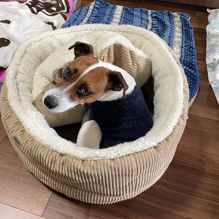 8f787e2e f84e 451e 8f44 11b38b952a0a 1648685255347